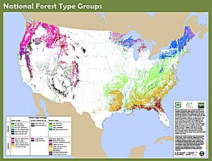 Thumbnail image of National Forest Type dataset