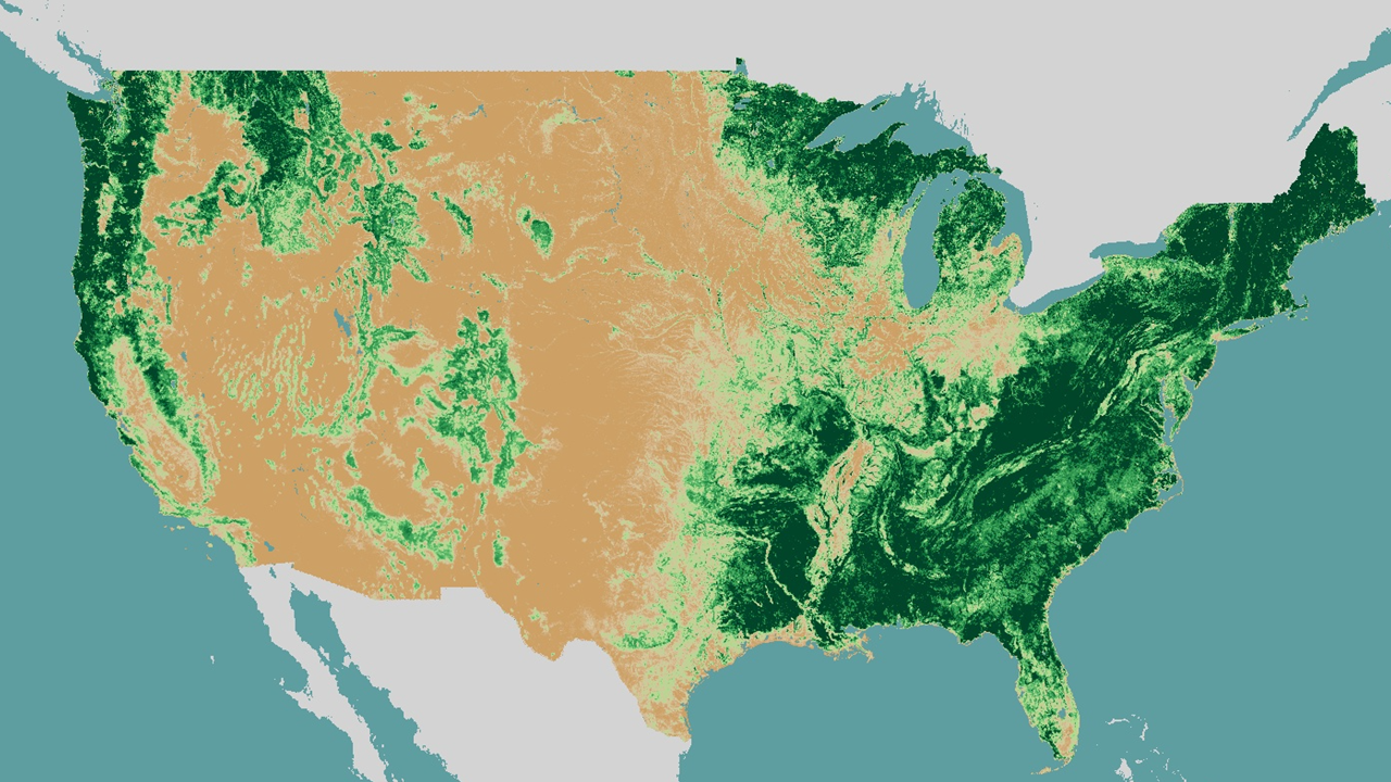 Tree Canopy Cover