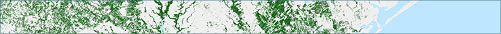 banner, tree canopy cover map