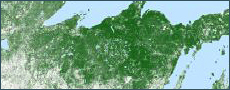 sample, tree canopy cover map